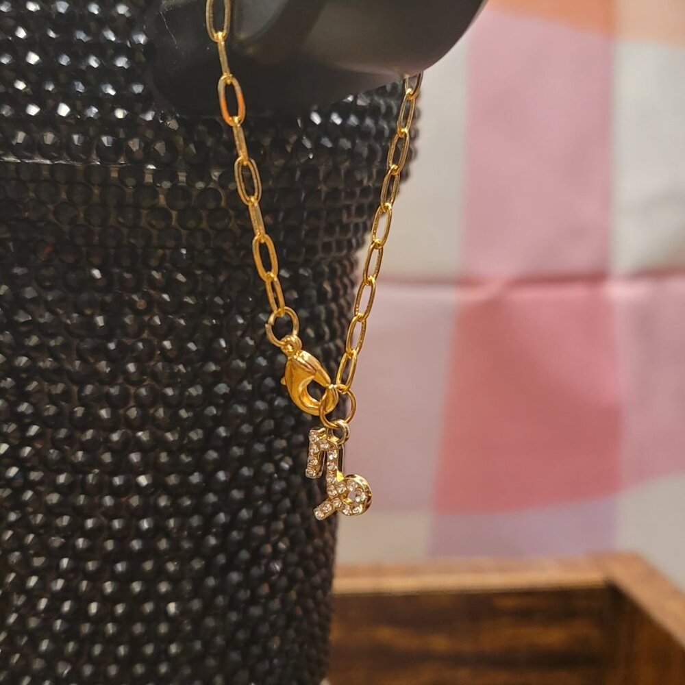 Capricorn Zodiac Sign Tumbler Charm